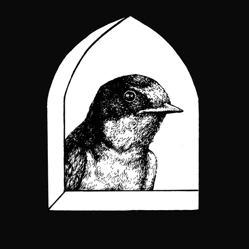 Birdbrains’s avatar