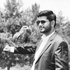Mil Kar Juda Hue To Na Soya Karenge Ham - (Mr - Jatt.com)
