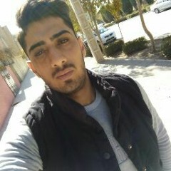 alireza ramezani