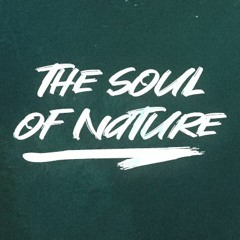 The Soul Of Nature