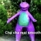 Quadratic Formula