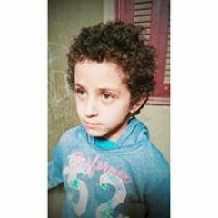 محمد محمود
