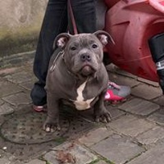 Missy Lola Valene