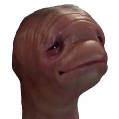 koorteex
