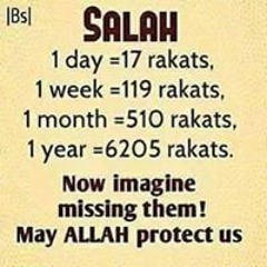 siddiq