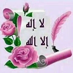 احمد المصرى