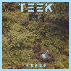 TEEK