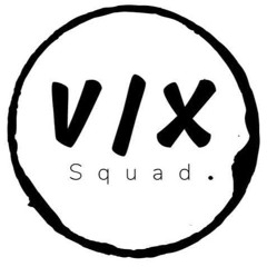 V/X Squad