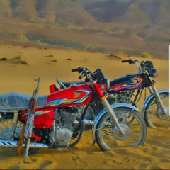 محمدعلی شوقی