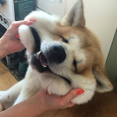 thumb's hall of fame (part II)