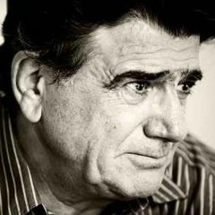 Amir Ahmadnezhad
