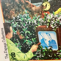 The Papaya Collections