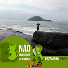O mago