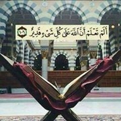 خالد البرنس