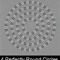 Spiral Phases