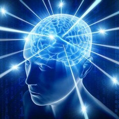 brain.