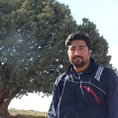 Yousef Vahdani