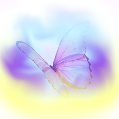 New & hot: Ambient