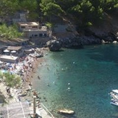 Pedro Gómez Pascual