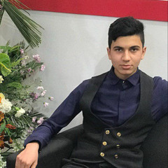 Alireza MF