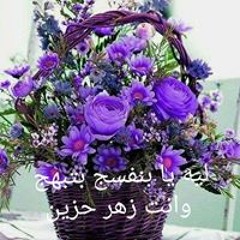 safaa