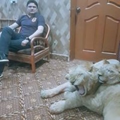 faizan