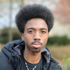 Thecapricornsun