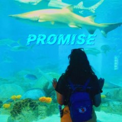 Promise
