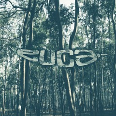 euca music management