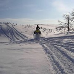 Alexander Hansen