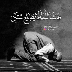 يقين المصطفى