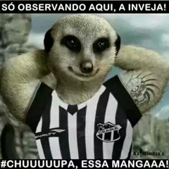 bragajadiesel