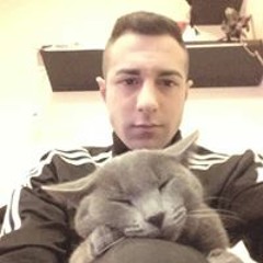 Dario Estamos Muy Dentro