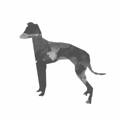 The Grayhound Podcast