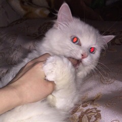 Mirotskaja🖤