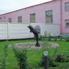 Black Dolphin Prison Dogs