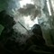 God Sparrow Tv