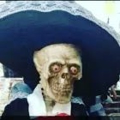 Sir skeletano