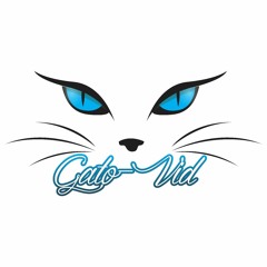 GATO-VID