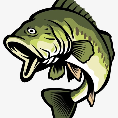 Mighty Fish Beats’s avatar