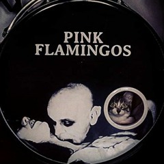 Pink Flamingos