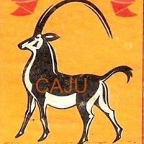 Angola Caju’s avatar