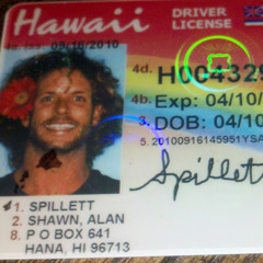 Shawn Love Spillett