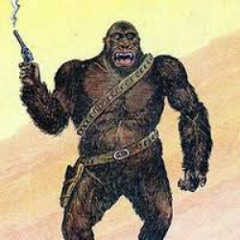 Agrilla 'keyz'