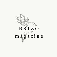 BRIZO Magazine