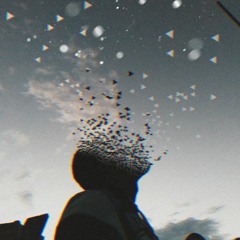 D O N   S A M