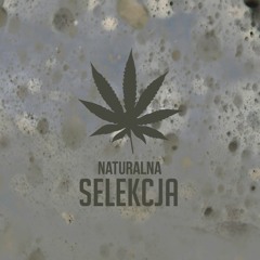 NATURALNA SELEKCJA