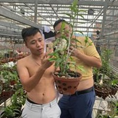 Nguyễn Tiến Huy