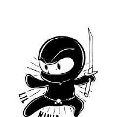 lil ninja
