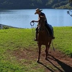 murilo trombeta